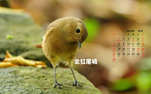 484637 (a): :1920x1200